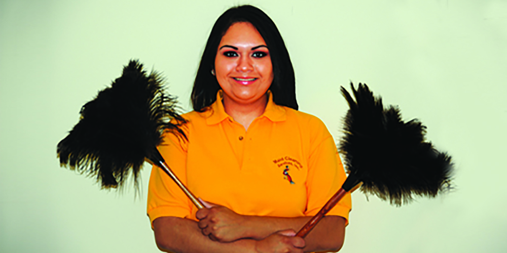Northern Virginia Maid Cleaning Services 12 Prince George’s County MD